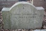 Johannes Johannessen.jpg